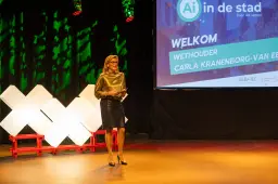 aiindestad