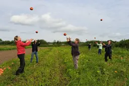 pompoen