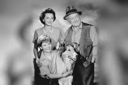 lassie cast 1955 kopieren achtergrond kopieren wiki