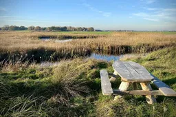 928x550 Provincie investeert in natuur Zuurvenspolder bij Bergen (1)