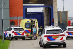 MWH05458_resized kopiëren