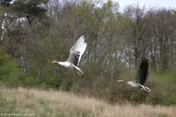 515357906_10231477444625316_6970875887349205709_n