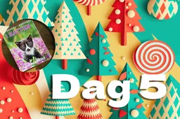Prijsvragenfestijn Catfo dag 5: Win een gratis weekkalender 2025 (met katten)