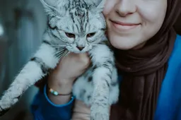 Vraag Maar Raak: Wat voegt een kat aan jouw leven toe?