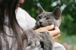 Hoelang onthoudt een kat zijn baasje?