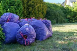 Gruwelijke vondst in Tegelen: overleden katten in vuilniszak gevonden