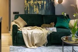 Kattenliefhebber? Dan wil je de expositie Schattig en Kattig niet missen