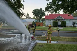 Brandweer heeft zeven katten uit brandende woning gered