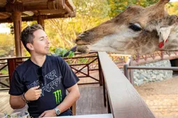 Jorge Lorenzo: "Marc Marquez il migliore, Andrea Dovizioso invidioso..."