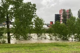 Formula 1 stop a Imola, un marshall: "Il paddock 2 è un acquario"