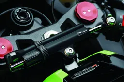 Superbike retrospective, Kawasaki Ninja ZX-10R: La "Verdona" vincente di Sykes