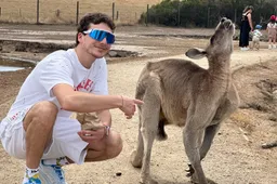 Supersport: Lorenzo Baldassarri "Non bisogna perdere la pazienza"