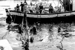 Formula 1: Quando Alberto Ascari finì nel mare di Monaco