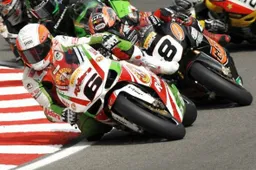 BSB: lo schieramento aggiornato della stagione 2011