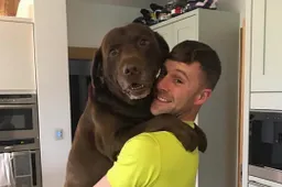 Jonathan Rea non molla: "Sono più motivato che mai"