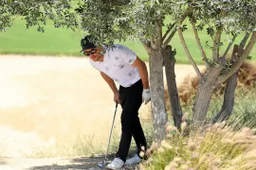 Superbike: Se il Mondiale non ripartisse, Alex Lowes sarebbe campione?