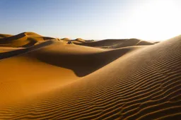 Dakar 2020: Cancellata l'ottava tappa