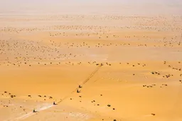 Dakar 2020: Tappa 11, la seconda parte della Marathon