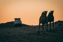 Dakar, a breve si parte! Tutto quello che c'è da sapere sull'edizione 2021