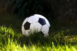 Coronavirus, Serie A al collasso. Spadafora: "Niente sarà più come prima"