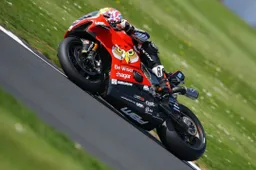 BSB Donington Prove 3: Josh Brookes leader, 19 piloti in 1"