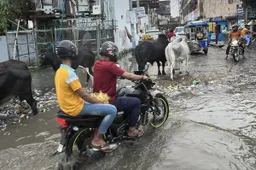 MotoGP, come va in India? Marco Grana "Pensavo peggio..."