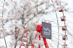 Formula 1 Giappone: A che ora corrono? Il programma TV e streaming