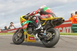 BSB: al via i primi test pre campionato, attesa per Haga