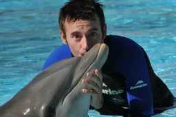 Superbike: i piloti del mondiale giocano assieme ai delfini!