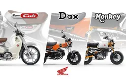 Nuovi colori per le icone Honda: Dax arancione, Monkey bicolore e Super Cub elegante