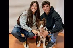 Dal box alla cuccia: Marc Marquez adotta un meticcio a Madrid, Tardozzi esalta il gesto