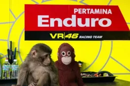 VR46 al banco di prova: super budget da 18 mln e contratto con Ducati in bilico