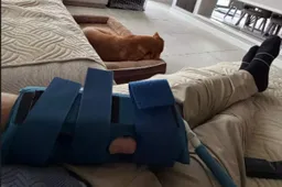 Sam Lowes, botto a oltre 200 km/h e doppia frattura: l'aggiornamento sulle condizioni