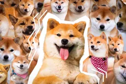 Floki Inu lanceert gesloten beta voor handelsbot