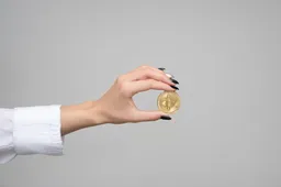 Veel meer interesse in cryptocurrencies vanuit institutionele beleggers, aldus onderzoek