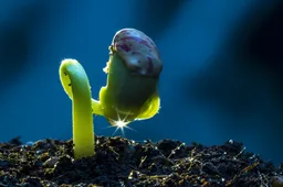 Arthur Hayes voorspelt bodem van de bearmarkt