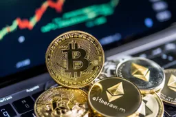 Bitcoin domineert portfolio's met 31% aandeel, XRP stijgt door ETF-hype terwijl honger naar Solana bekoelt