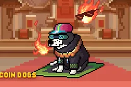 Waarom investeerders uit Nederland gek zijn op Bitcoin Dogs