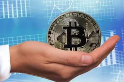 Skybridge's Bitcoin-fonds is in enkele dagen gegroeid tot $310 miljoen