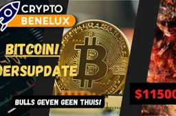 CryptoBenelux video: Bitcoin bulls weten geen potten te breken!