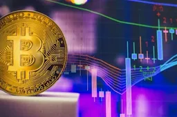 Bitcoin zal floreren ongeacht de uitslag van de presidentsverkiezingen