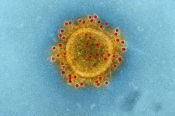 Verzekeringsbedrijven gebruiken blockchain voor coronavirus