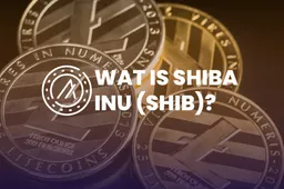 Wat is Shiba Inu (SHIB)?