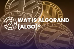 Wat is Algorand (ALGO)?