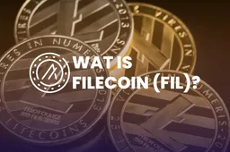 Wat is Filecoin (FIL)?