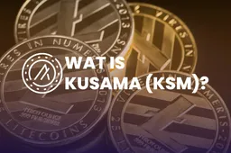 Wat is Kusama (KSM)?