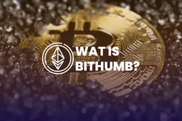 Wat is BitHumb?