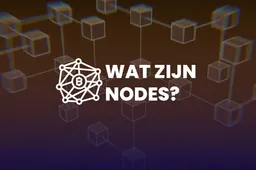 Wat zijn nodes?
