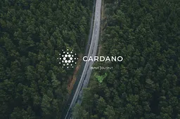 Crypto nieuws analist onthult: Waarom stijgt Cardano niet op dit moment en kan de populaire crypto momentum herpakken?