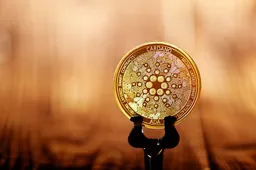 Cardano organiseert twee evenementen vóór Vasil hardfork